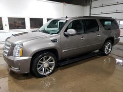 Cadillac Escalade salvage cars for sale: 2013 Cadillac Escalade ESV Platinum