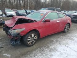 Honda Accord Vehiculos salvage en venta: 2010 Honda Accord EX