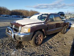 Dodge salvage cars for sale: 2005 Dodge Dakota Quad SLT