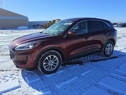 2021 Ford Escape SE for sale in Brighton, CO