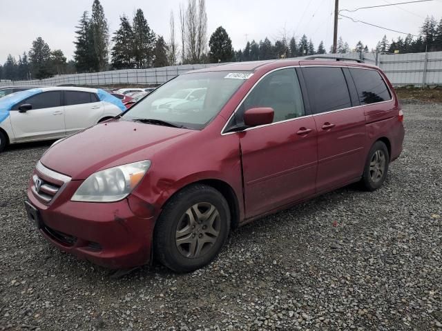 2005 Honda Odyssey EXL