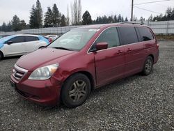 2005 Honda Odyssey EXL for sale in Graham, WA