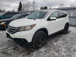 Honda salvage cars for sale: 2012 Honda CR-V EX