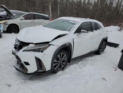 Lexus salvage cars for sale: 2020 Lexus UX 250H