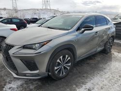 Lexus nx 300 f s salvage cars for sale: 2020 Lexus NX 300 F Sport