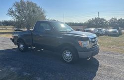 2013 Ford F150 for sale in Apopka, FL