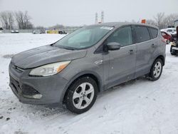 Ford Escape salvage cars for sale: 2014 Ford Escape SE