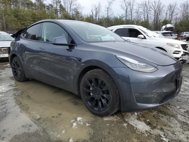 2020 Tesla Model Y