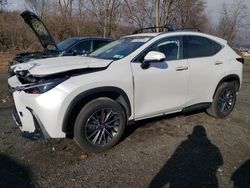 Lexus salvage cars for sale: 2024 Lexus NX 350H Base