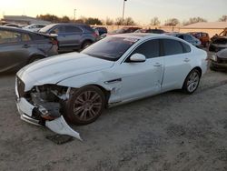 Jaguar salvage cars for sale: 2017 Jaguar XF Premium