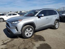 Salvage cars for sale from Copart Bakersfield, CA: 2019 Toyota Rav4 XLE