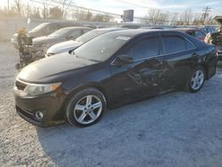 Toyota Camry salvage cars for sale: 2013 Toyota Camry L