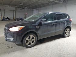 Ford Escape salvage cars for sale: 2013 Ford Escape SE