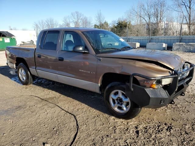 2000 Dodge Dakota Quattro