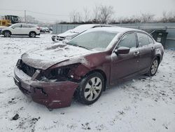 Honda Accord Vehiculos salvage en venta: 2010 Honda Accord EXL