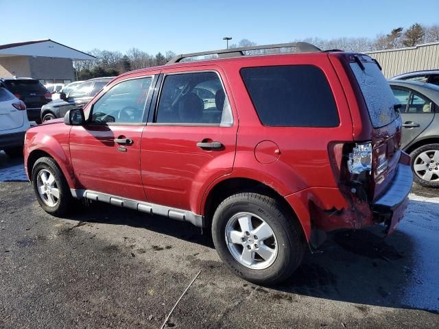 2011 Ford Escape XLT