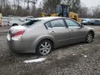 2005 Nissan Maxima SE