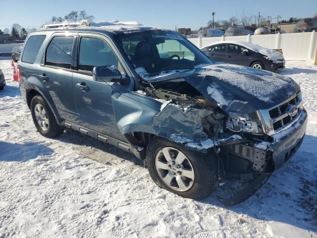 2010 Ford Escape Limited