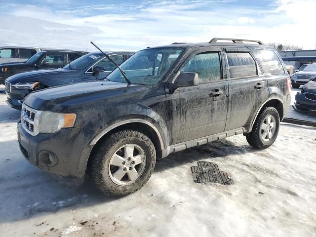 2012 Ford Escape XLT