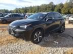 2020 Lexus NX 300