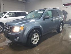 2010 Ford Escape XLT en venta en Elgin, IL