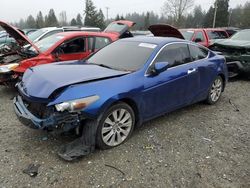 2009 Honda Accord EXL en venta en Graham, WA