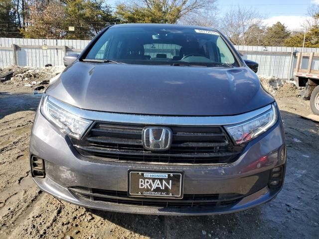 2023 Honda Odyssey EXL