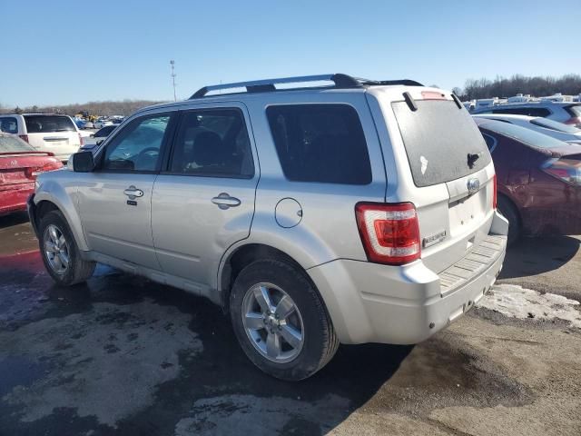 2010 Ford Escape Limited