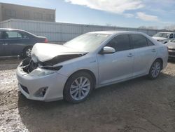 Toyota Camry salvage cars for sale: 2013 Toyota Camry Hybrid