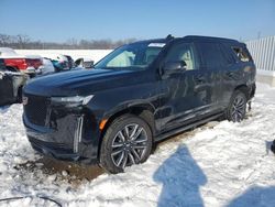 Cadillac Escalade salvage cars for sale: 2023 Cadillac Escalade Sport Platinum