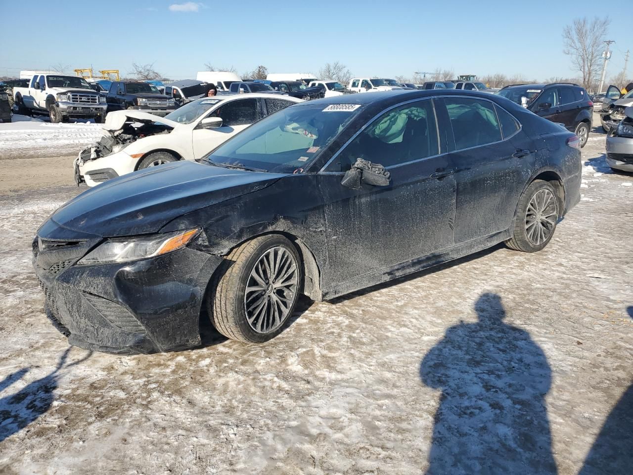 2019 Toyota Camry l