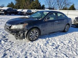 Honda salvage cars for sale: 2012 Honda Accord EXL