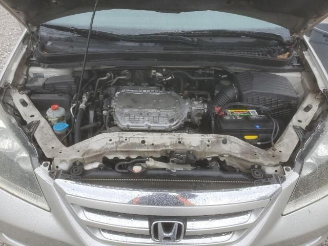 2005 Honda Odyssey EXL