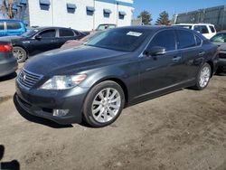 2011 Lexus LS 460 for sale in Albuquerque, NM