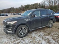 Vehiculos salvage en venta de Copart North Billerica, MA: 2023 Infiniti QX80 Luxe