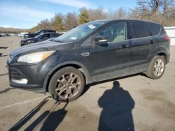 Ford Escape sel salvage cars for sale: 2013 Ford Escape SEL