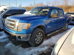 Ford f-150 salvage cars for sale: 2013 Ford F150 Supercrew