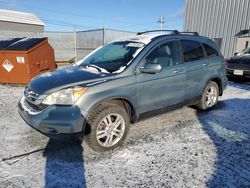 2011 Honda CR-V EXL for sale in Elmsdale, NS