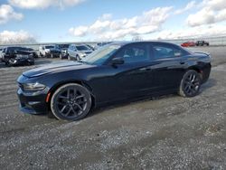 Dodge salvage cars for sale: 2019 Dodge Charger SXT