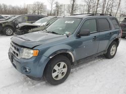 Ford salvage cars for sale: 2012 Ford Escape XLT