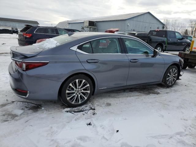 2020 Lexus ES 300H