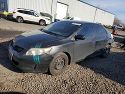 Salvage cars for sale from Copart Portland, OR: 2009 Toyota Corolla Base