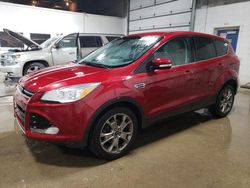 Ford Escape sel salvage cars for sale: 2013 Ford Escape SEL