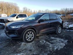 Ford salvage cars for sale: 2023 Ford Escape Active