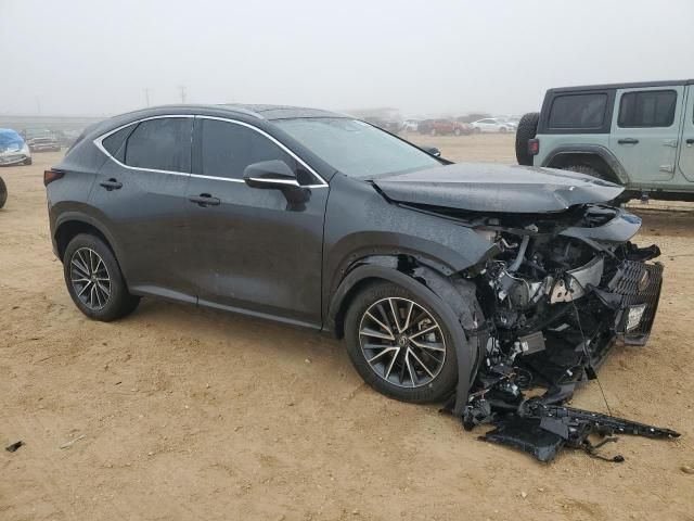 2024 Lexus NX 350H Base