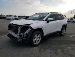 Salvage cars for sale from Copart Rancho Cucamonga, CA: 2021 Toyota Rav4 XLE