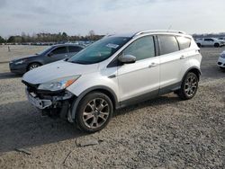 Ford salvage cars for sale: 2014 Ford Escape Titanium