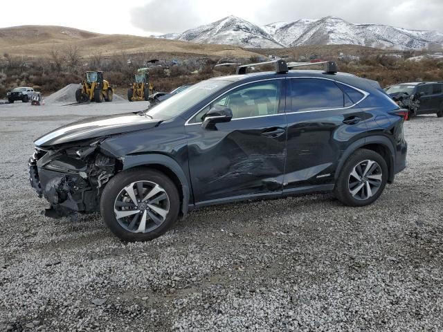 2021 Lexus NX 300H Base