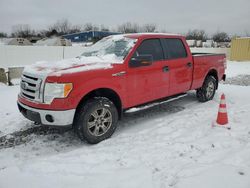 Ford salvage cars for sale: 2010 Ford F150 Supercrew