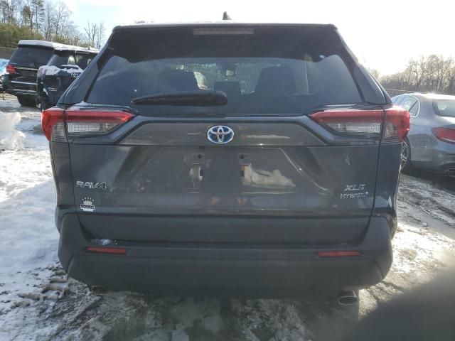 2024 Toyota Rav4 XLE